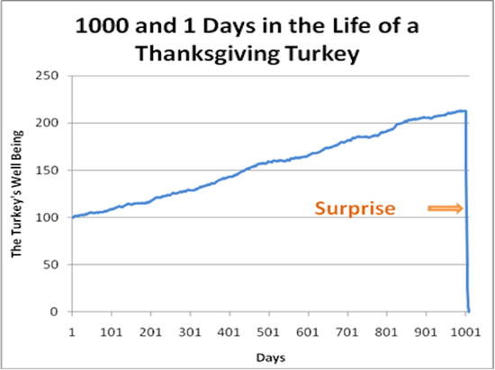 1000 and 1 Days in the Life of a Thanksgiving Turkey